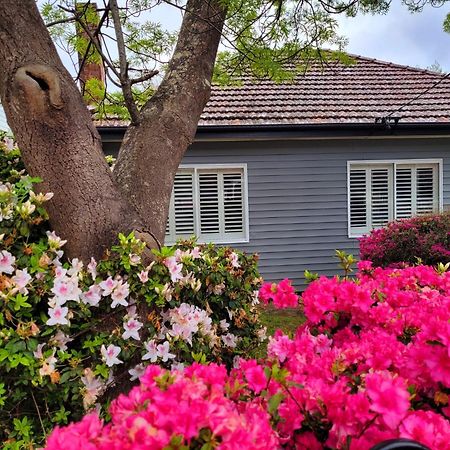 La Villette Sleeps 9 Fireplace Bbq Pet Friendly Katoomba Eksteriør billede