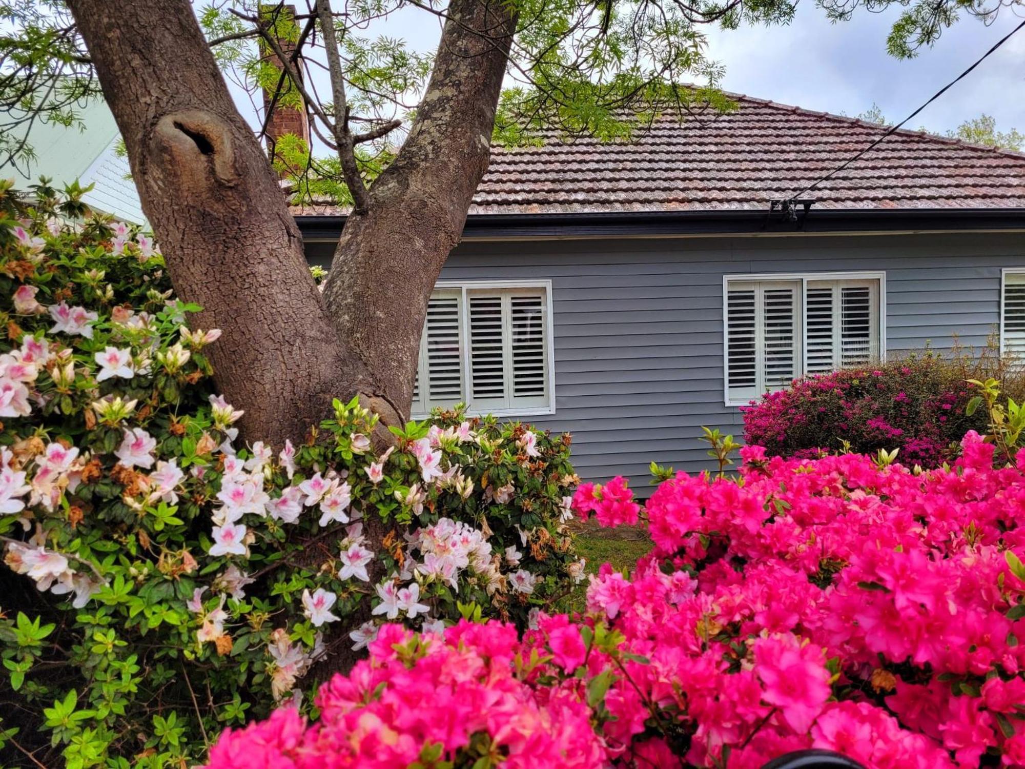 La Villette Sleeps 9 Fireplace Bbq Pet Friendly Katoomba Eksteriør billede